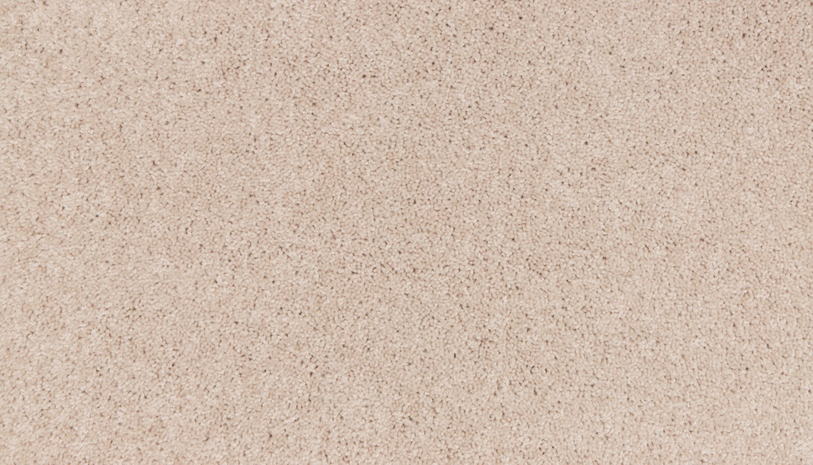 Mohawk Natural Purpose in Celebration, Carpet product detail