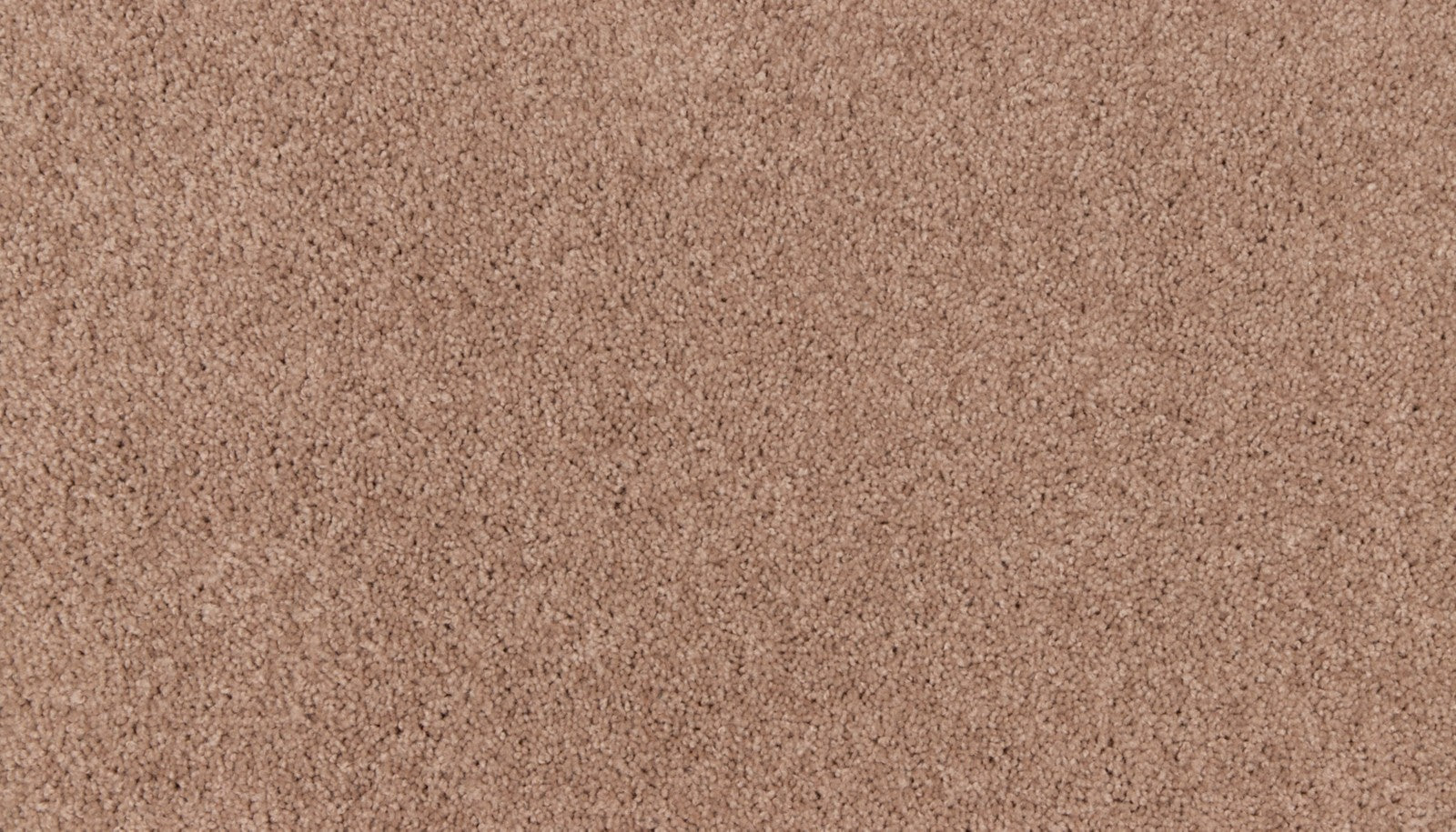 Mohawk Natural Purpose in Apricot Butter, Carpet product detail
