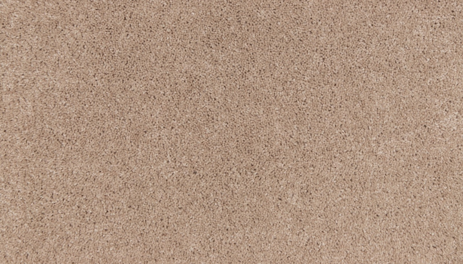 Mohawk Natural Purpose in Sand Storm, Carpet product detail