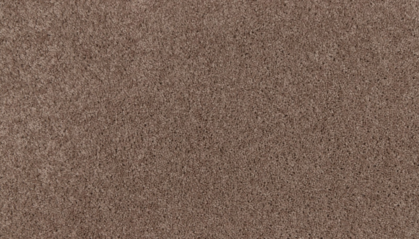 Mohawk Natural Purpose in Tiberius, Carpet product detail