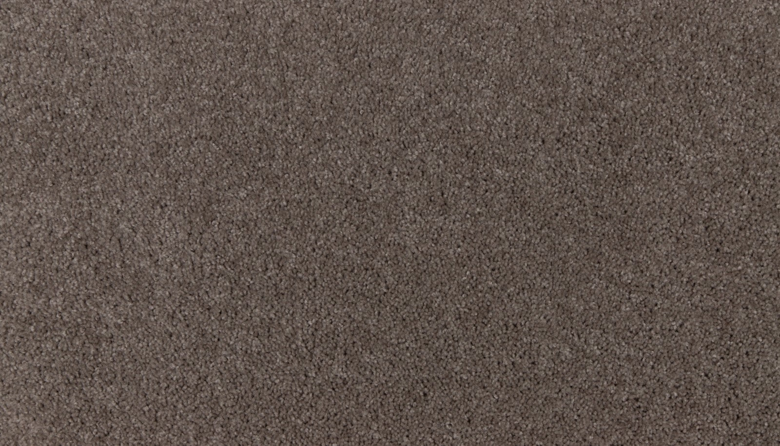 Mohawk Natural Purpose in Bottle Cap, Carpet product detail
