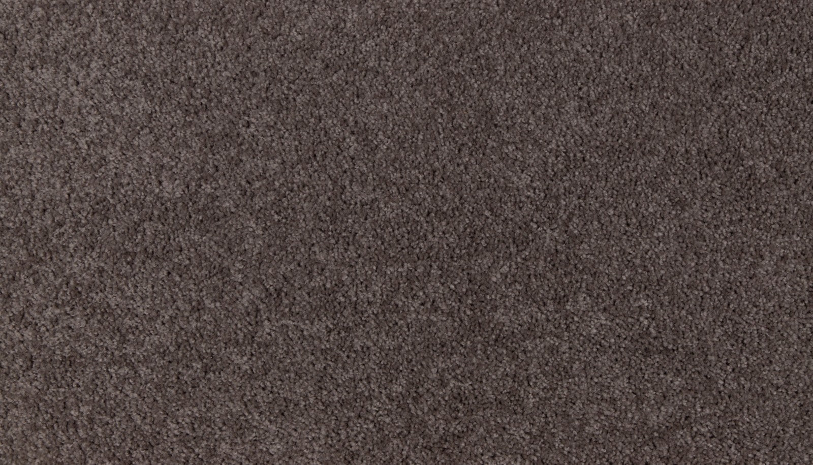 Mohawk Natural Purpose in Smoke Cloud, Carpet product detail