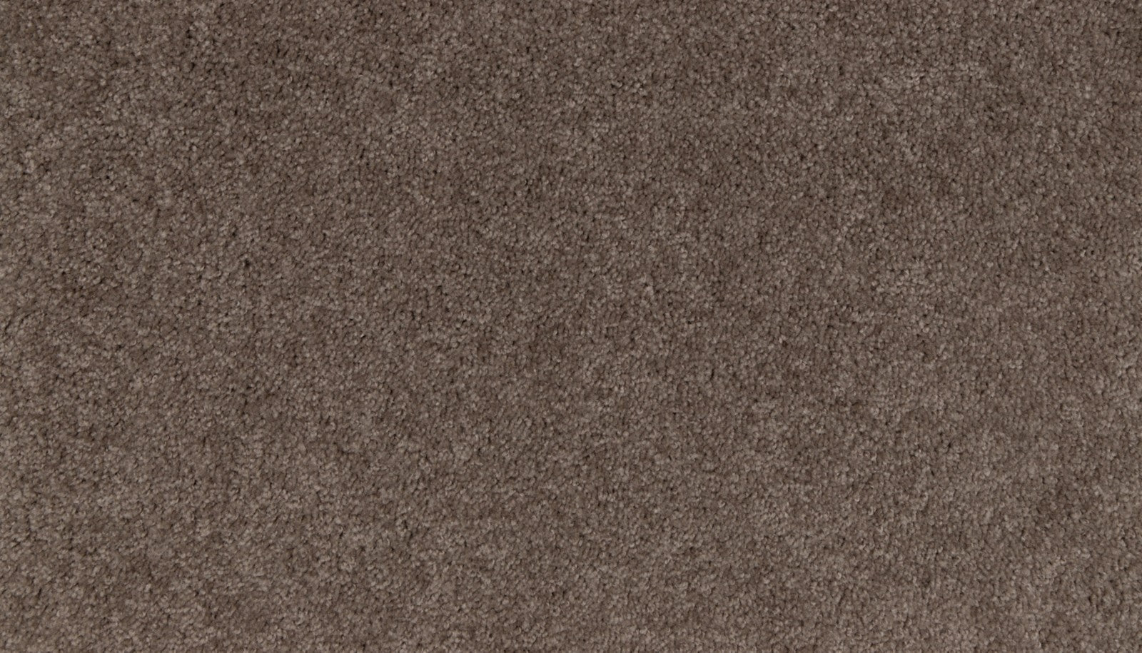 Mohawk Natural Purpose in Husk, Carpet product detail