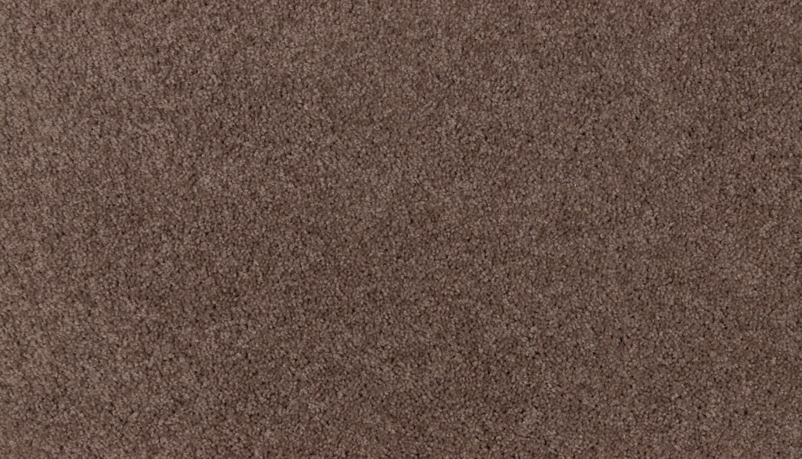 Mohawk Natural Purpose in Deep Fudge, Carpet product detail