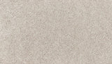 Mohawk Classic Voice Carpet