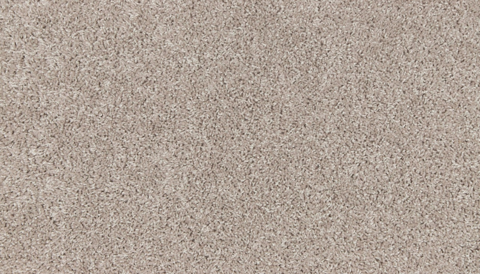 Mohawk Classic Voice in Portrait, Carpet product detail