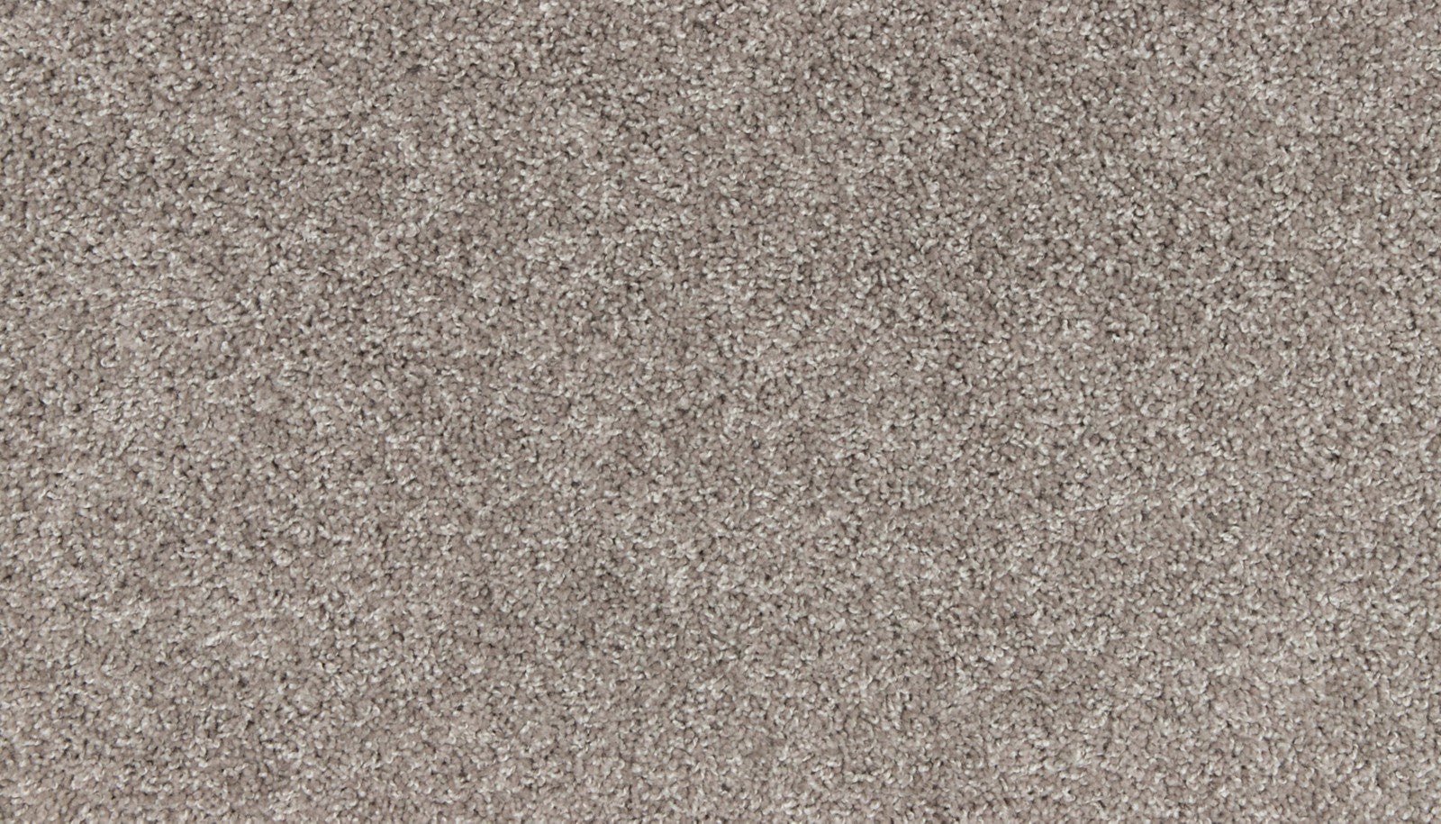 Mohawk Classic Voice in Mushroom Cap, Carpet product detail