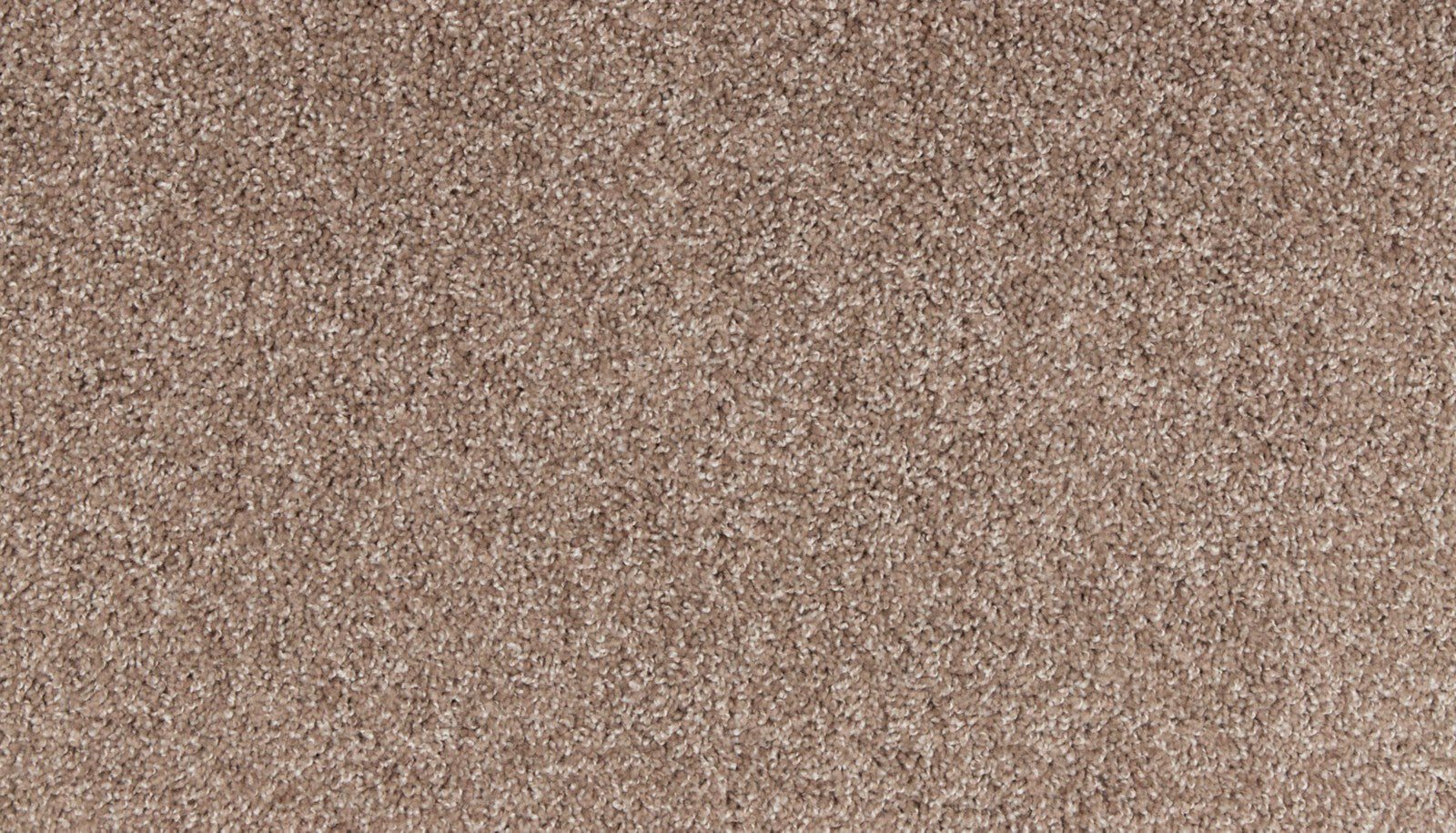 Mohawk Classic Voice in Tiberius, Carpet product detail