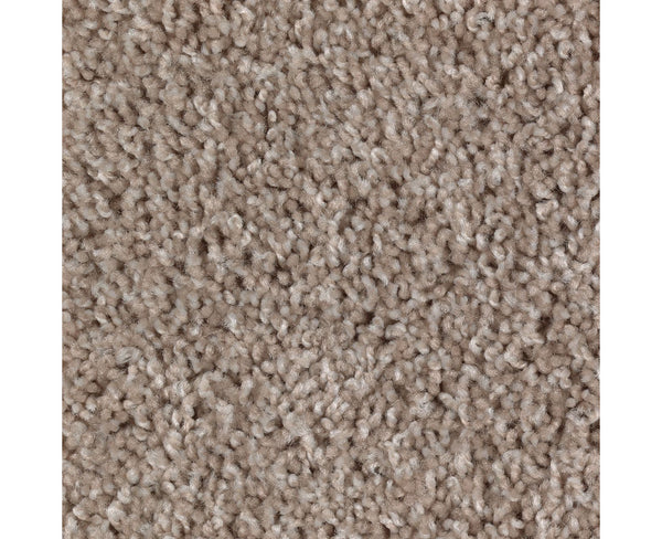 Mohawk Authentic Escape Carpet