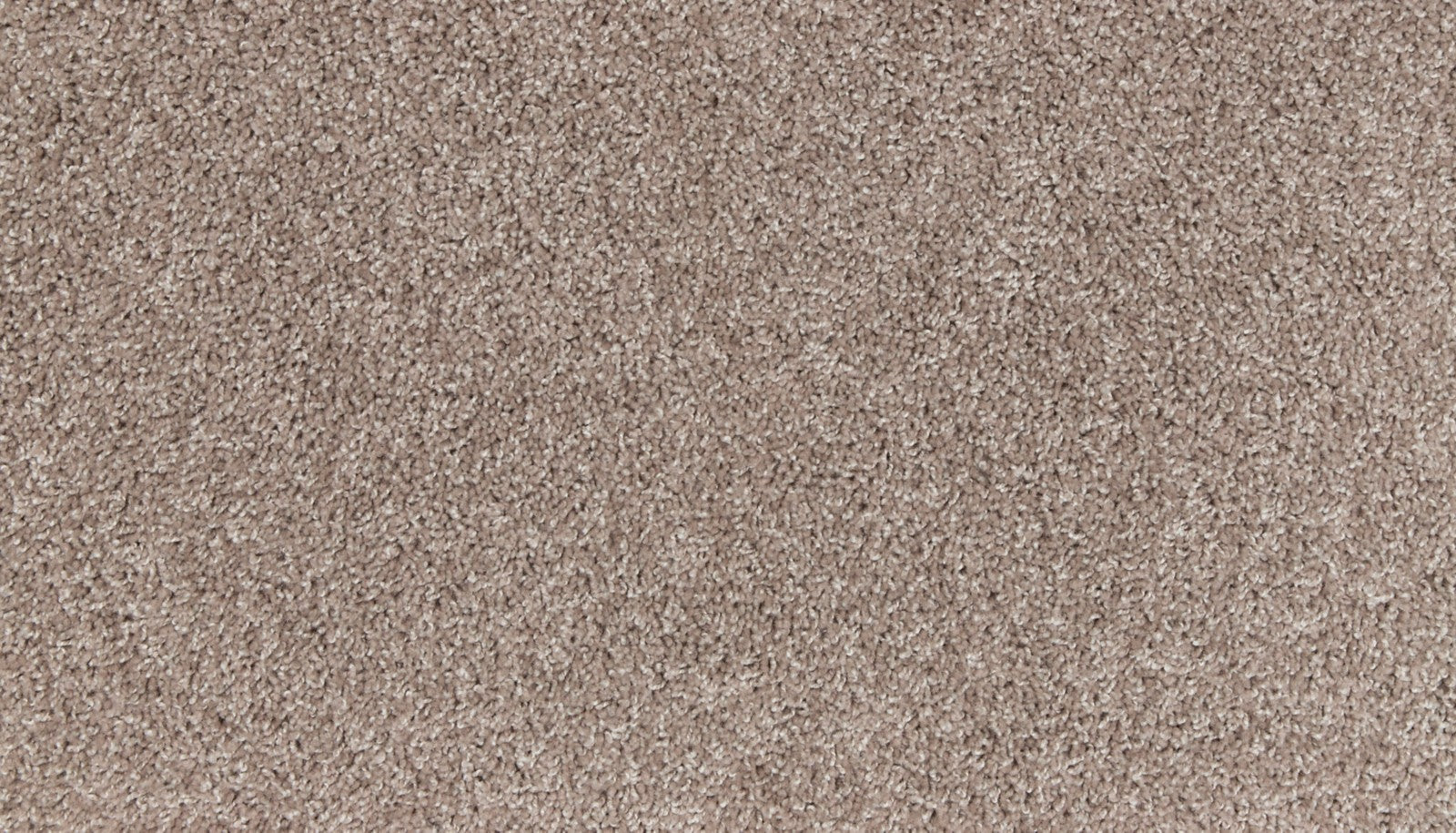 Mohawk Authentic Voice in Mink, Carpet product detail
