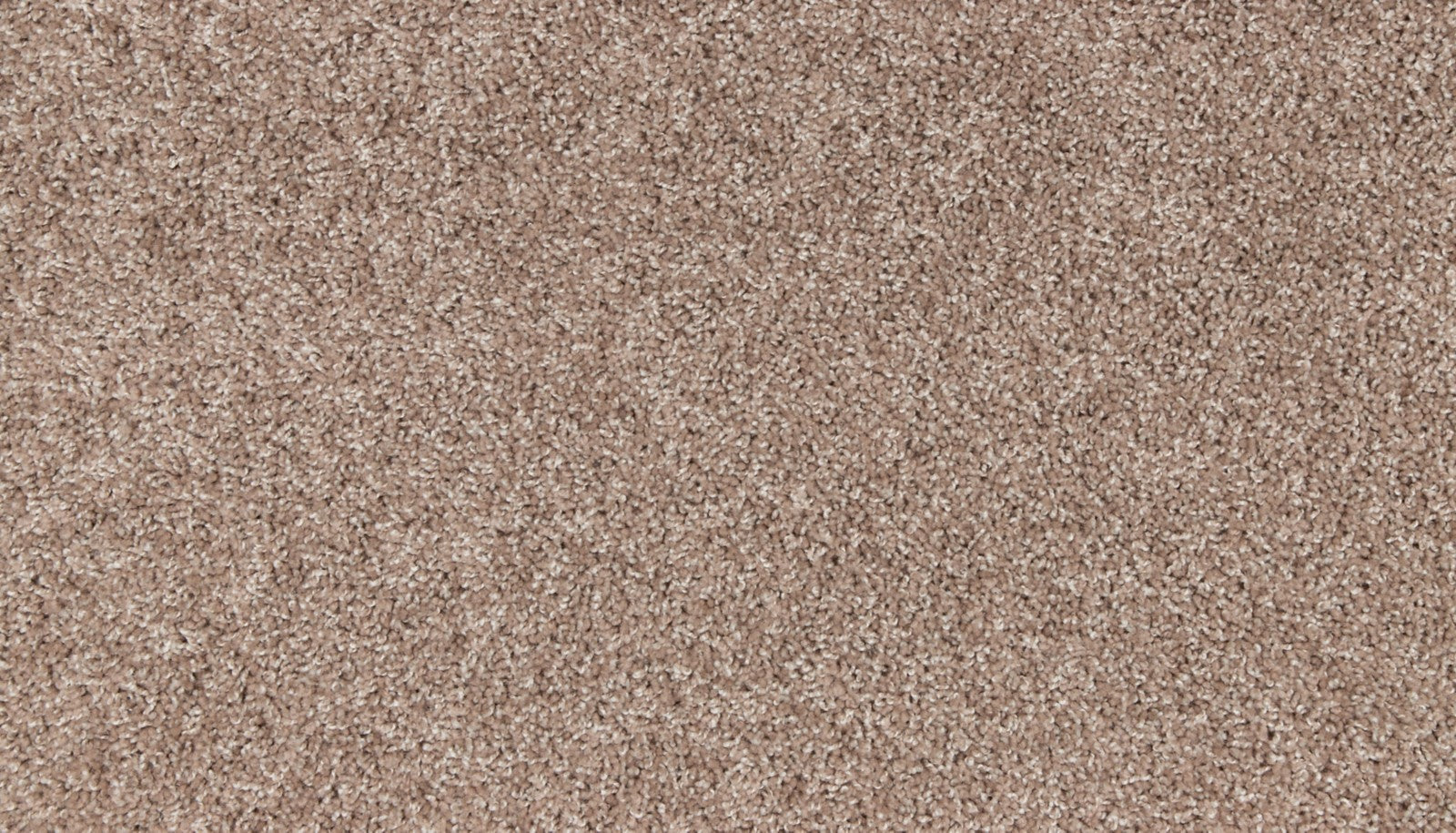 Mohawk Authentic Voice in Sumatra Blend, Carpet product detail