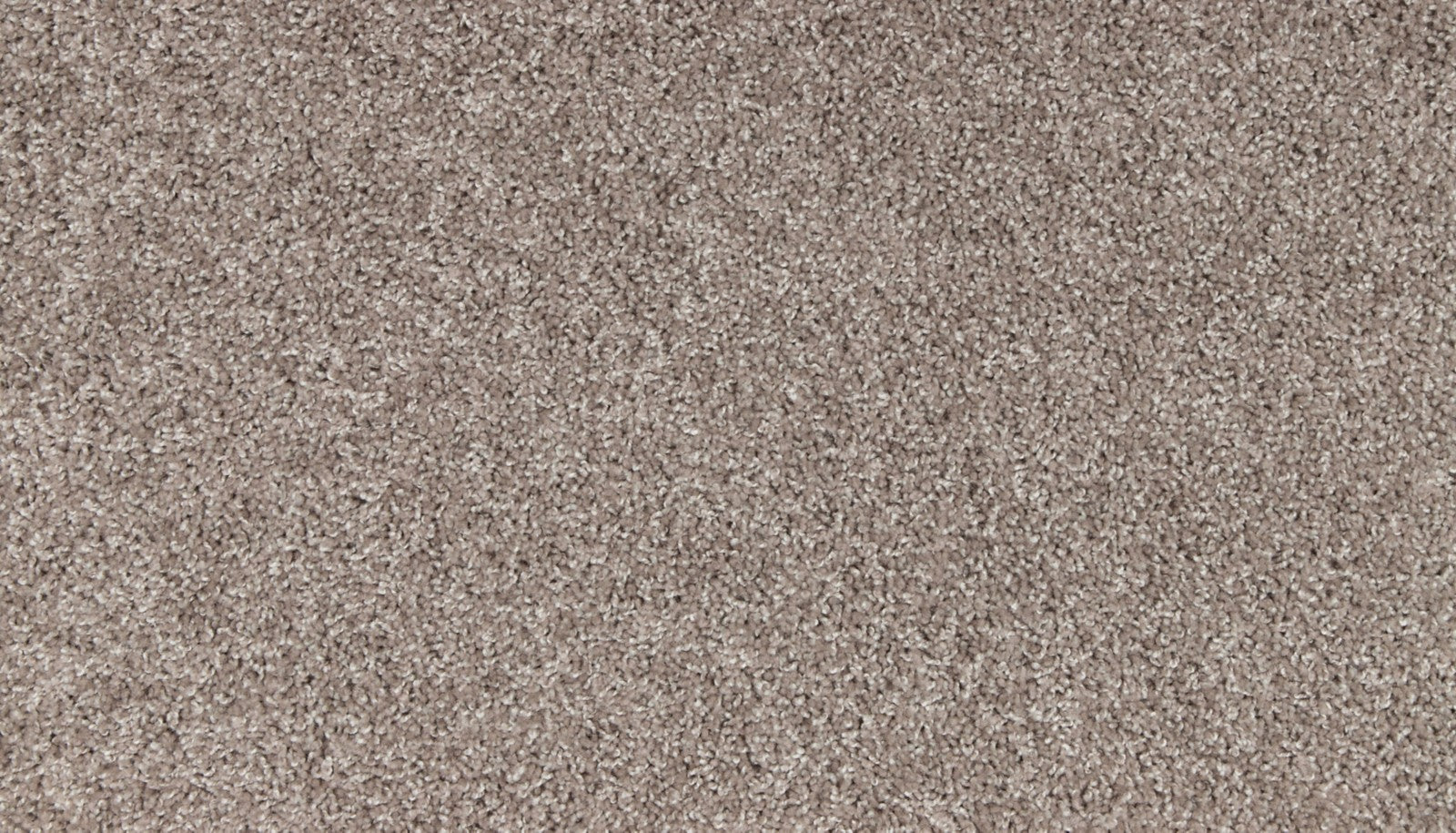 Mohawk Authentic Escape in Twilight Jungle, Carpet product detail