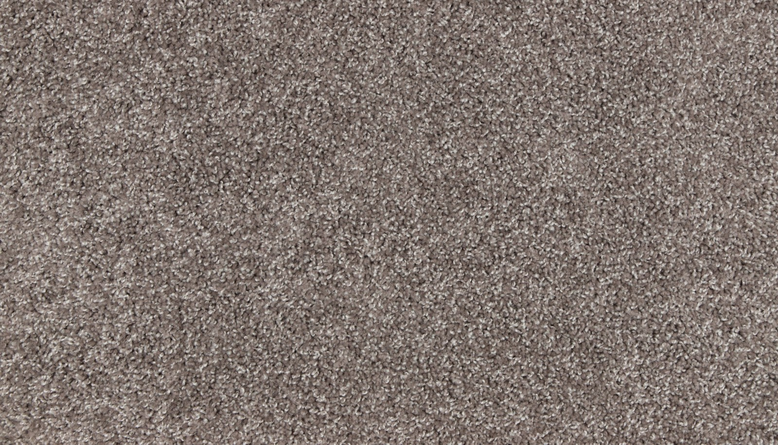Mohawk Authentic Voice in Bottle Cap, Carpet product detail
