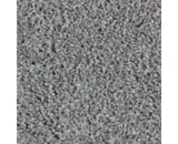 Mohawk Authentic Escape Carpet