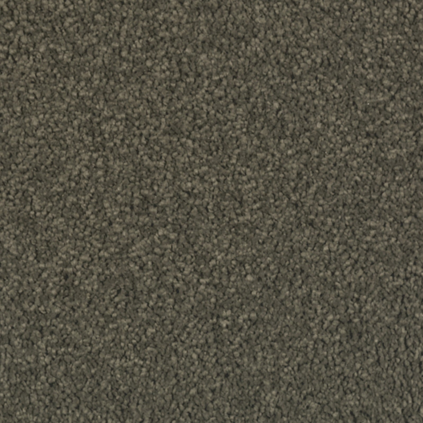 Mohawk Natural Splendor I in Pine Needle, Carpet product detail