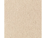 Mohawk Natural Splendor I Carpet
