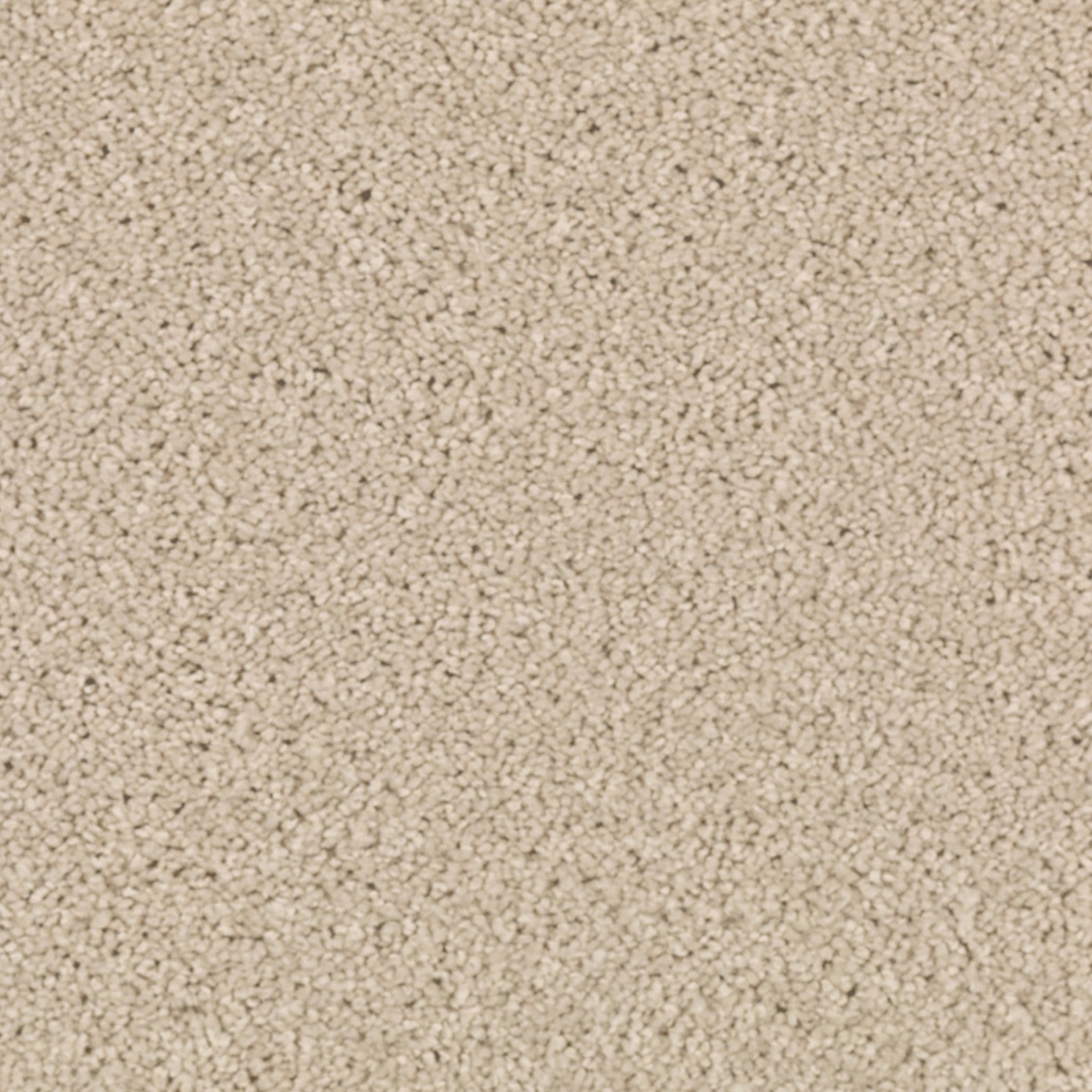 Mohawk Natural Splendor I in Morning Mist, Carpet product detail