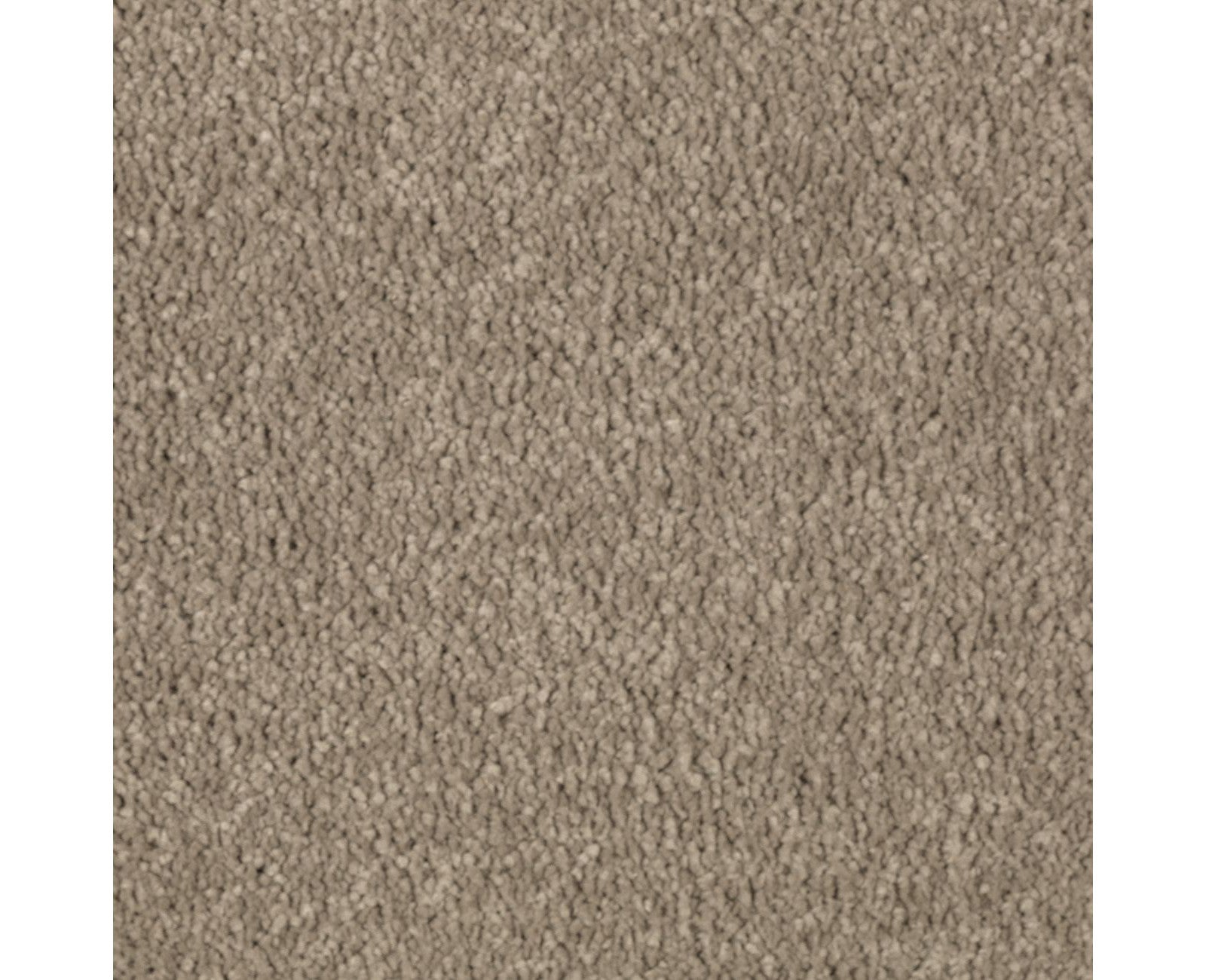 Mohawk Natural Splendor I in Mushroom Cap, Carpet product detail