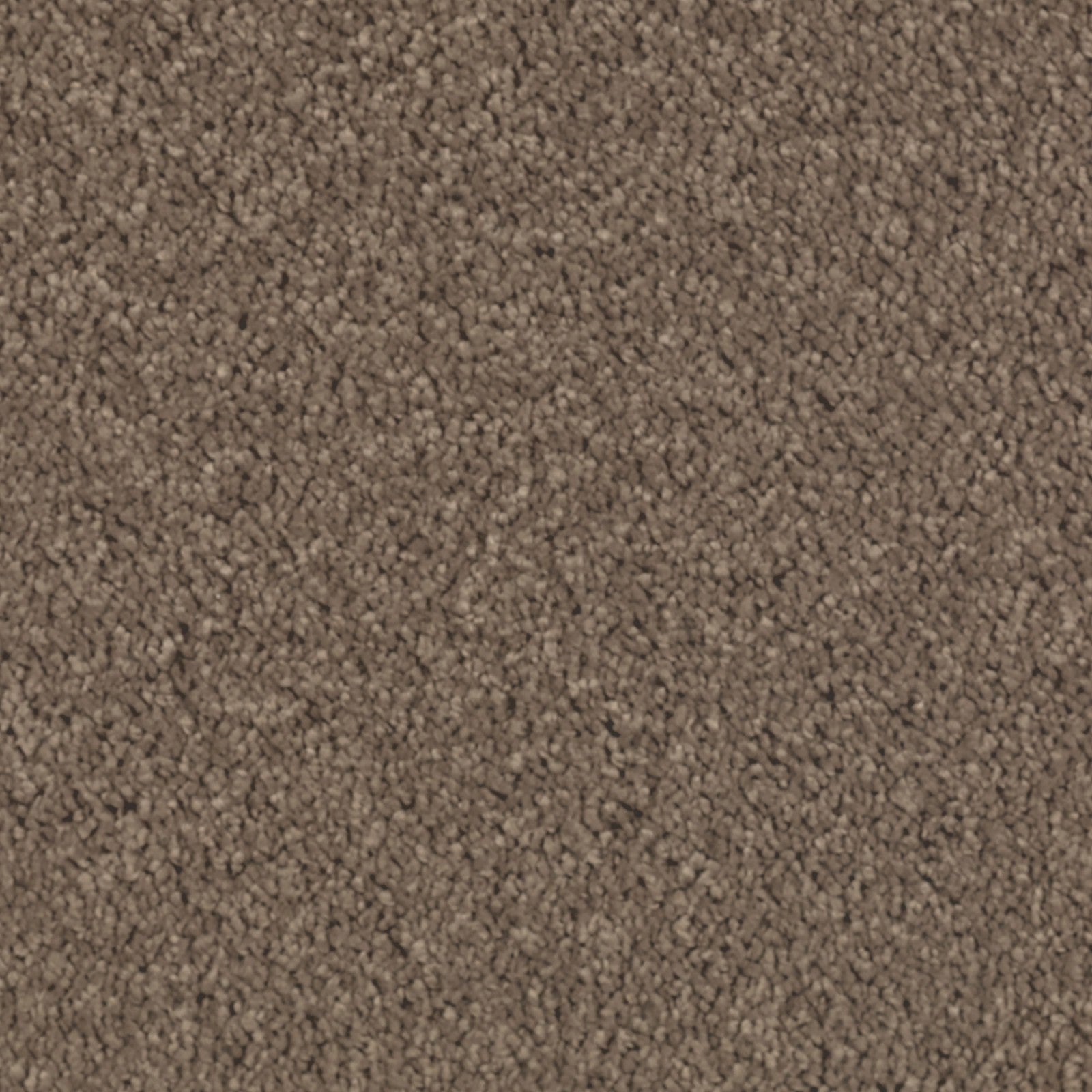 Mohawk Natural Splendor I in Pine Cone, Carpet product detail
