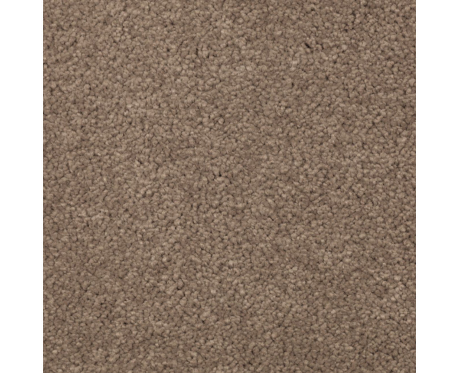 Mohawk Natural Splendor I in Cat-Tail, Carpet product detail