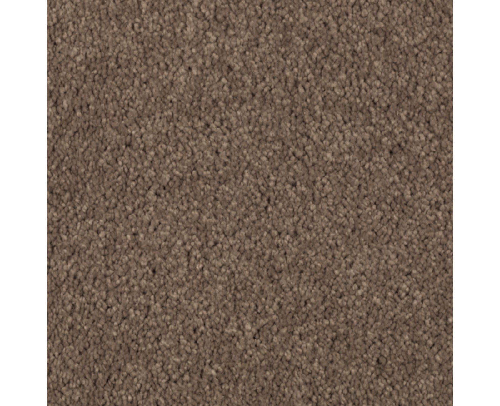 Mohawk Natural Splendor I in Nutmeg, Carpet product detail