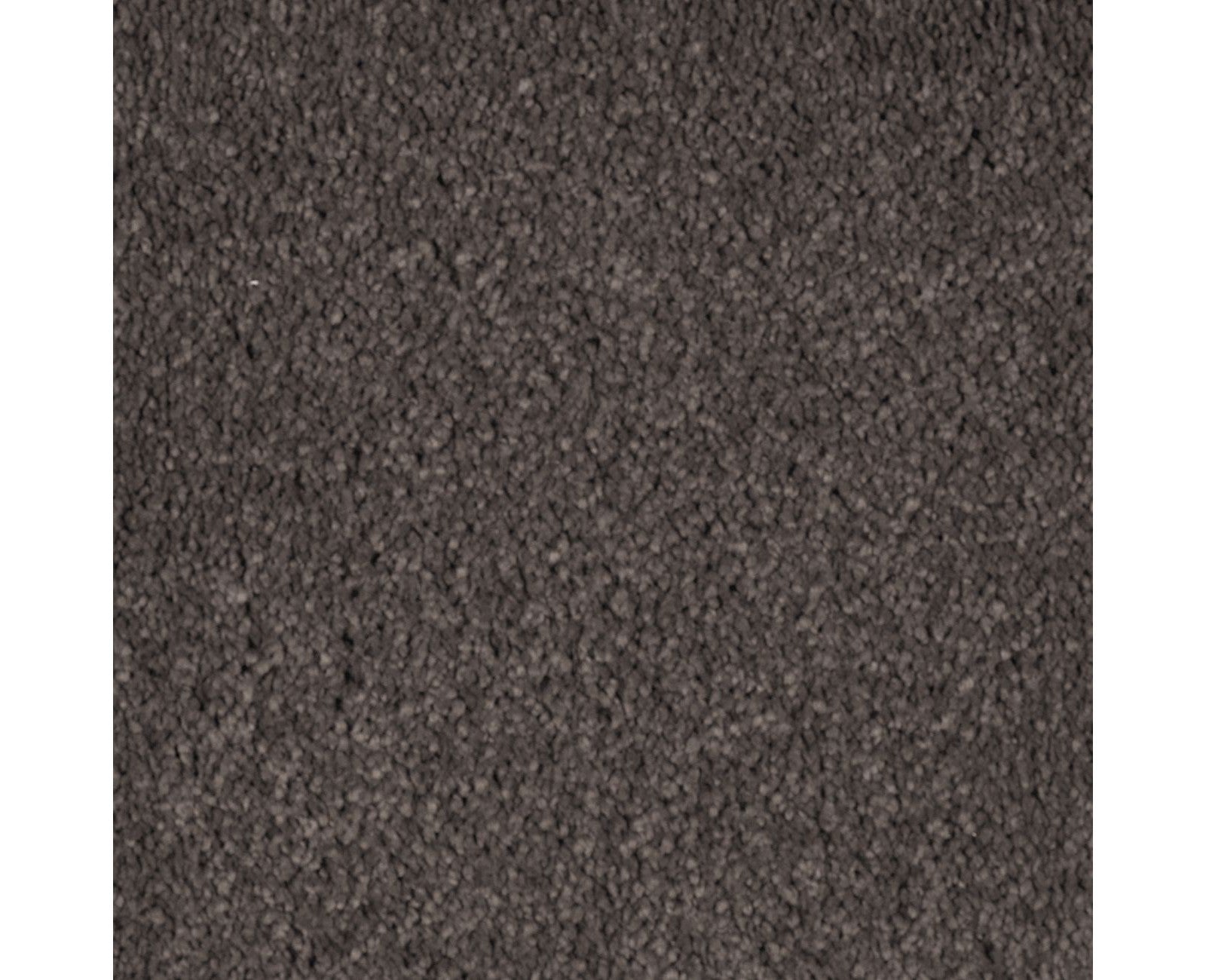 Mohawk Natural Splendor I in Dried Peat, Carpet product detail