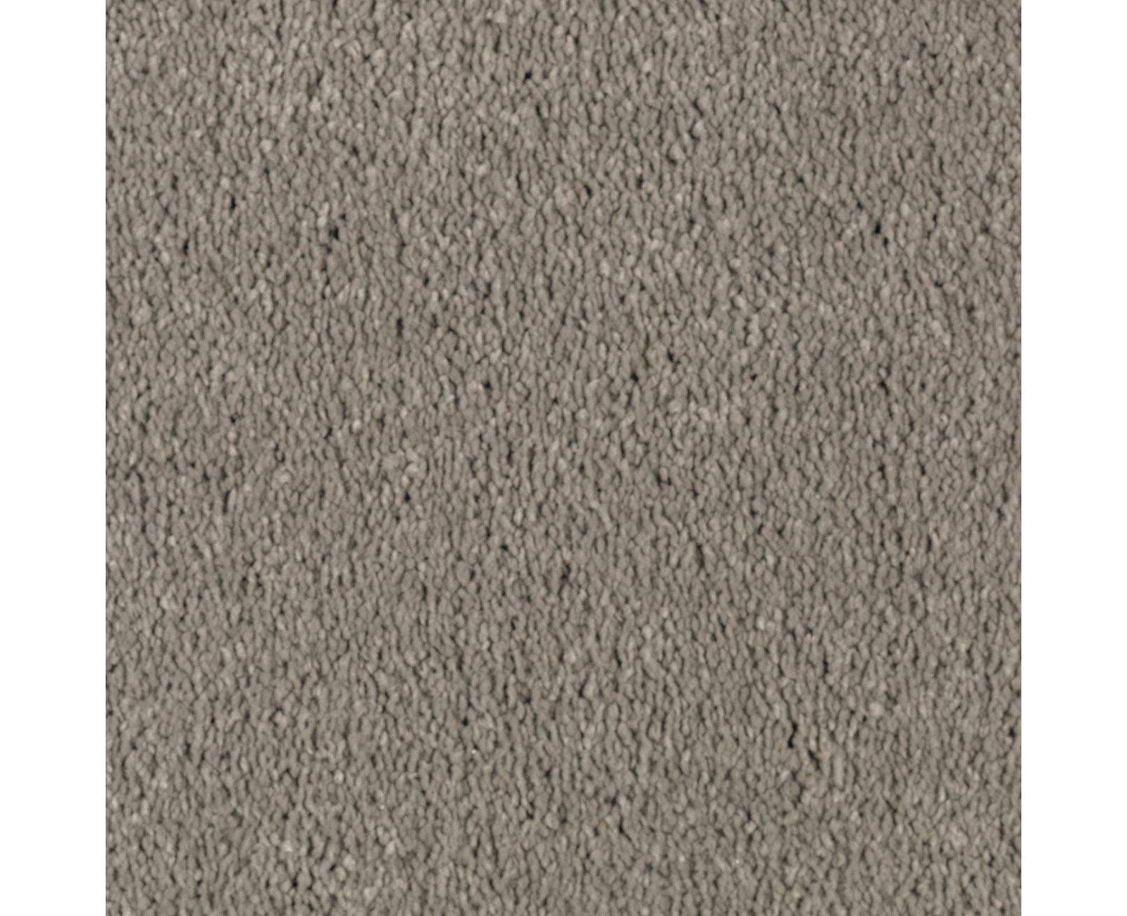 Mohawk Natural Splendor I in Smokescreen, Carpet product detail
