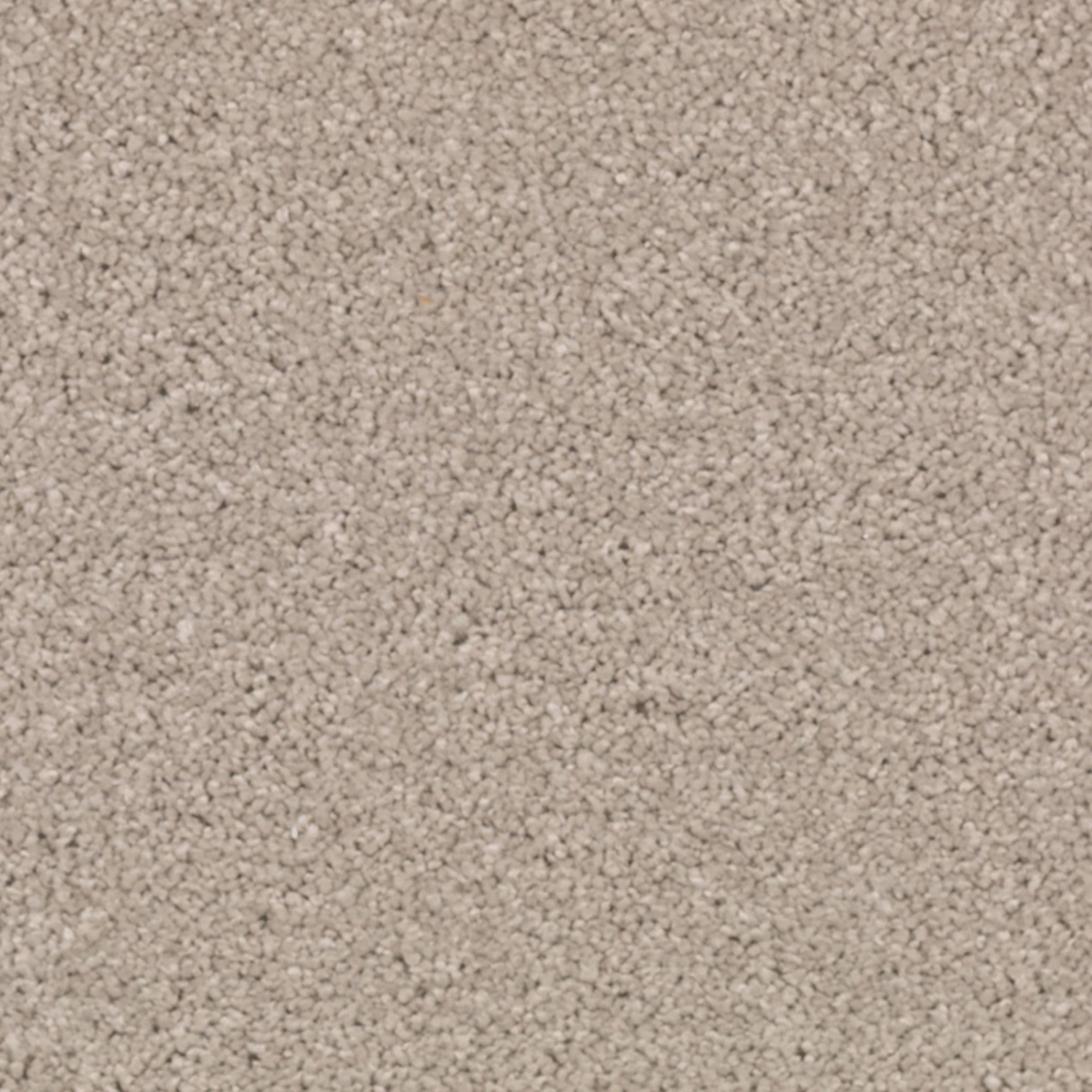 Mohawk Natural Splendor I in Overcast, Carpet product detail