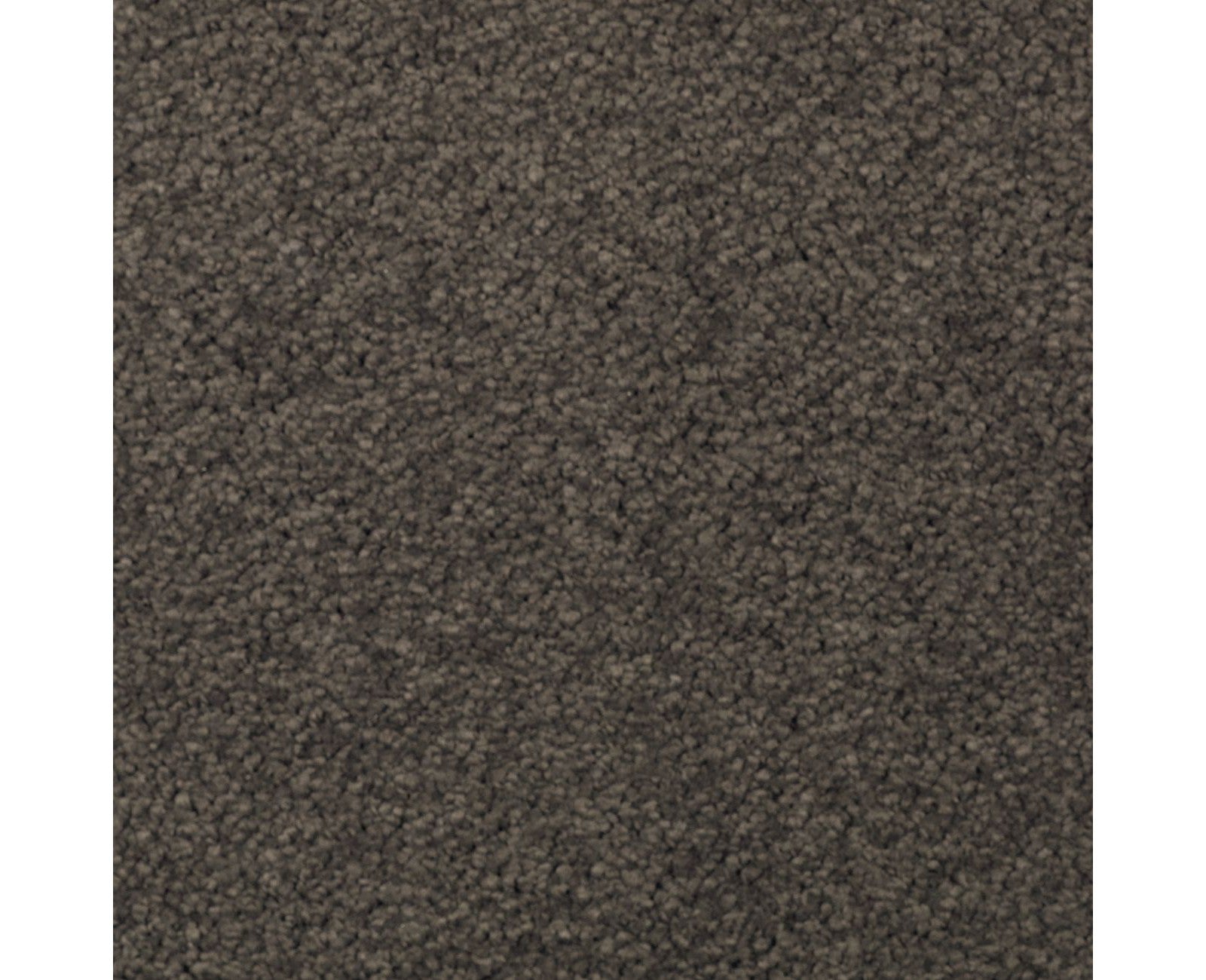 Mohawk Natural Splendor I in Wrought Iron, Carpet product detail