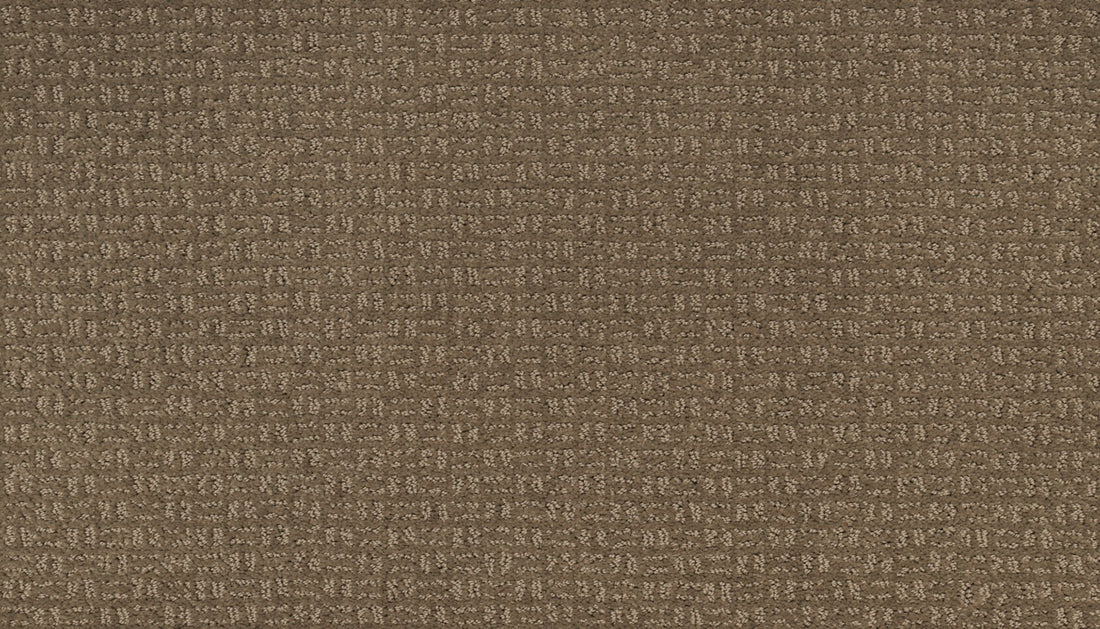 Mohawk Flawless Vision Carpet