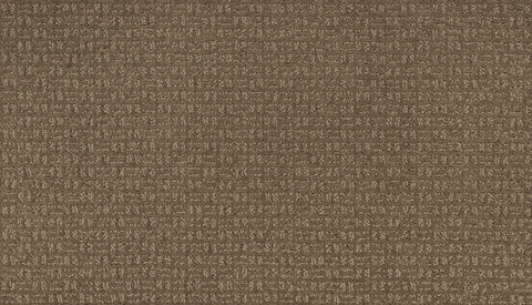 Mohawk Flawless Vision Carpet