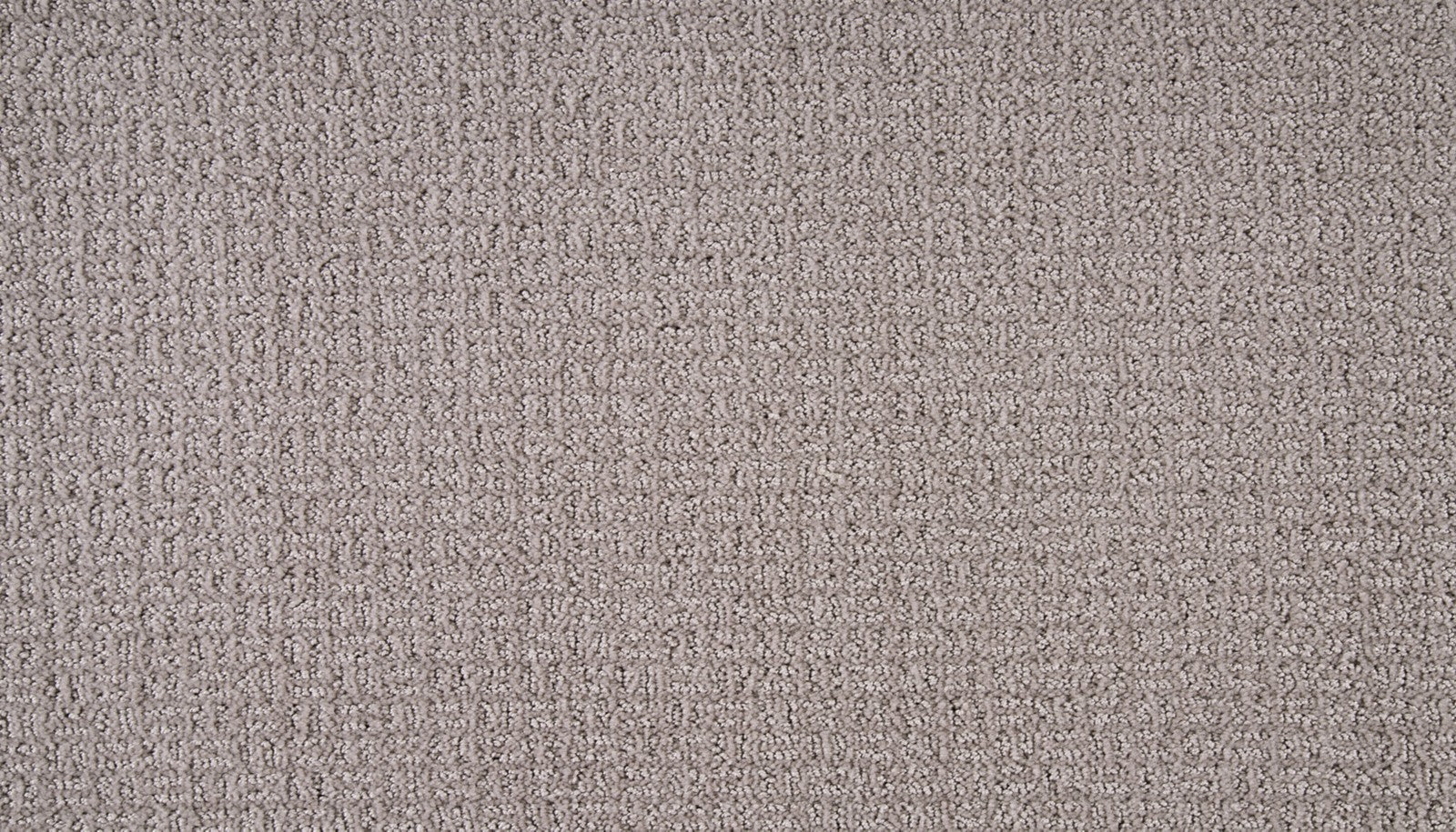 Mohawk Seamless View in Dove, Carpet product detail