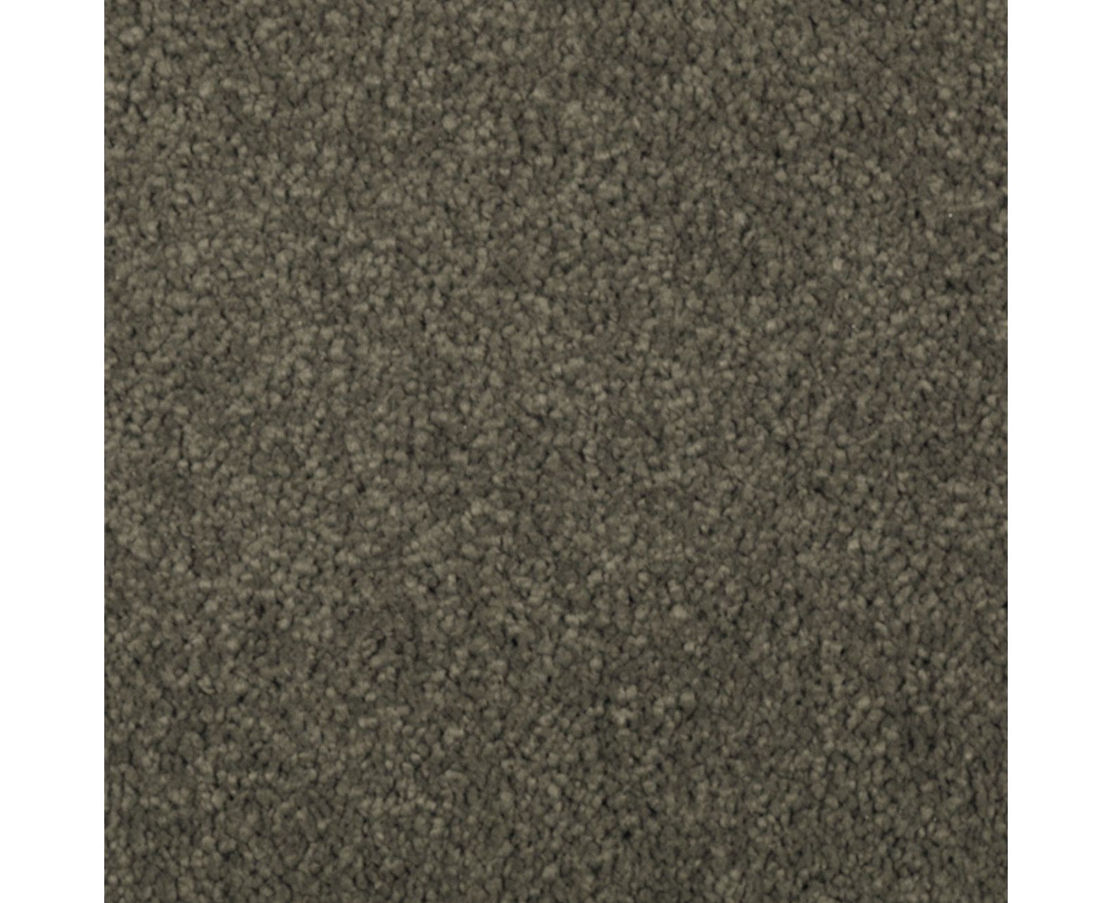 Mohawk Natural Splendor II in Pine Needle, Carpet product detail