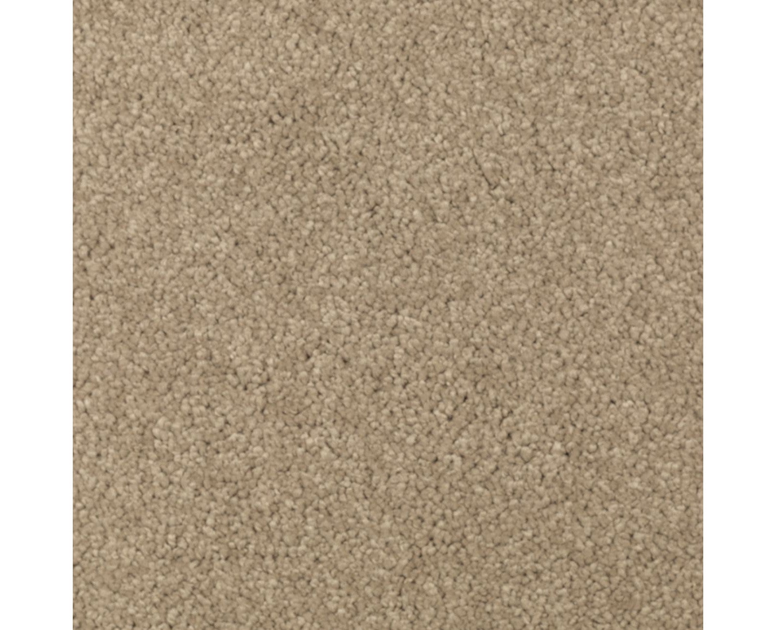 Mohawk Natural Splendor II in Brushed Suede, Carpet product detail