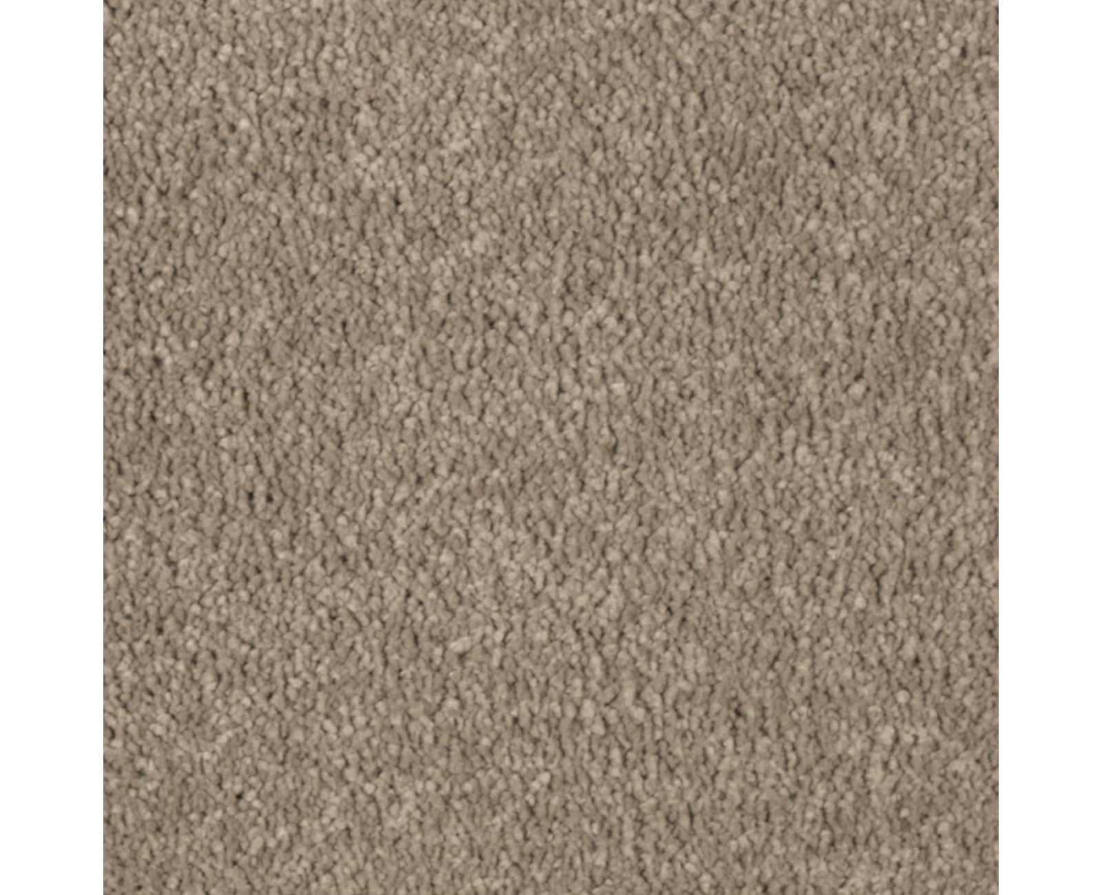 Mohawk Natural Splendor II in Mushroom Cap, Carpet product detail