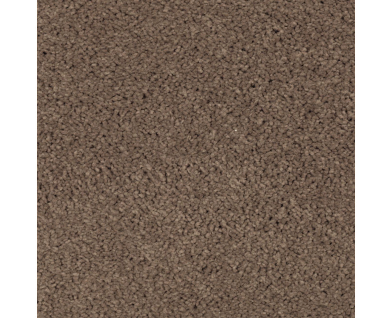 Mohawk Natural Splendor II in Rich Earth, Carpet product detail