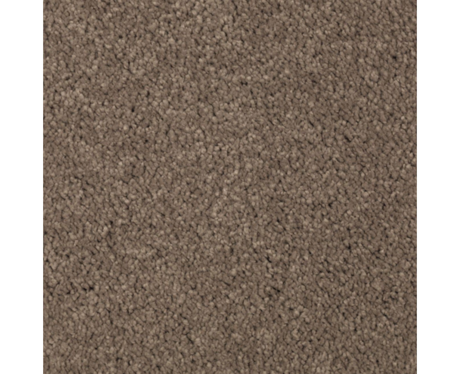 Mohawk Natural Splendor II in Pine Cone, Carpet product detail