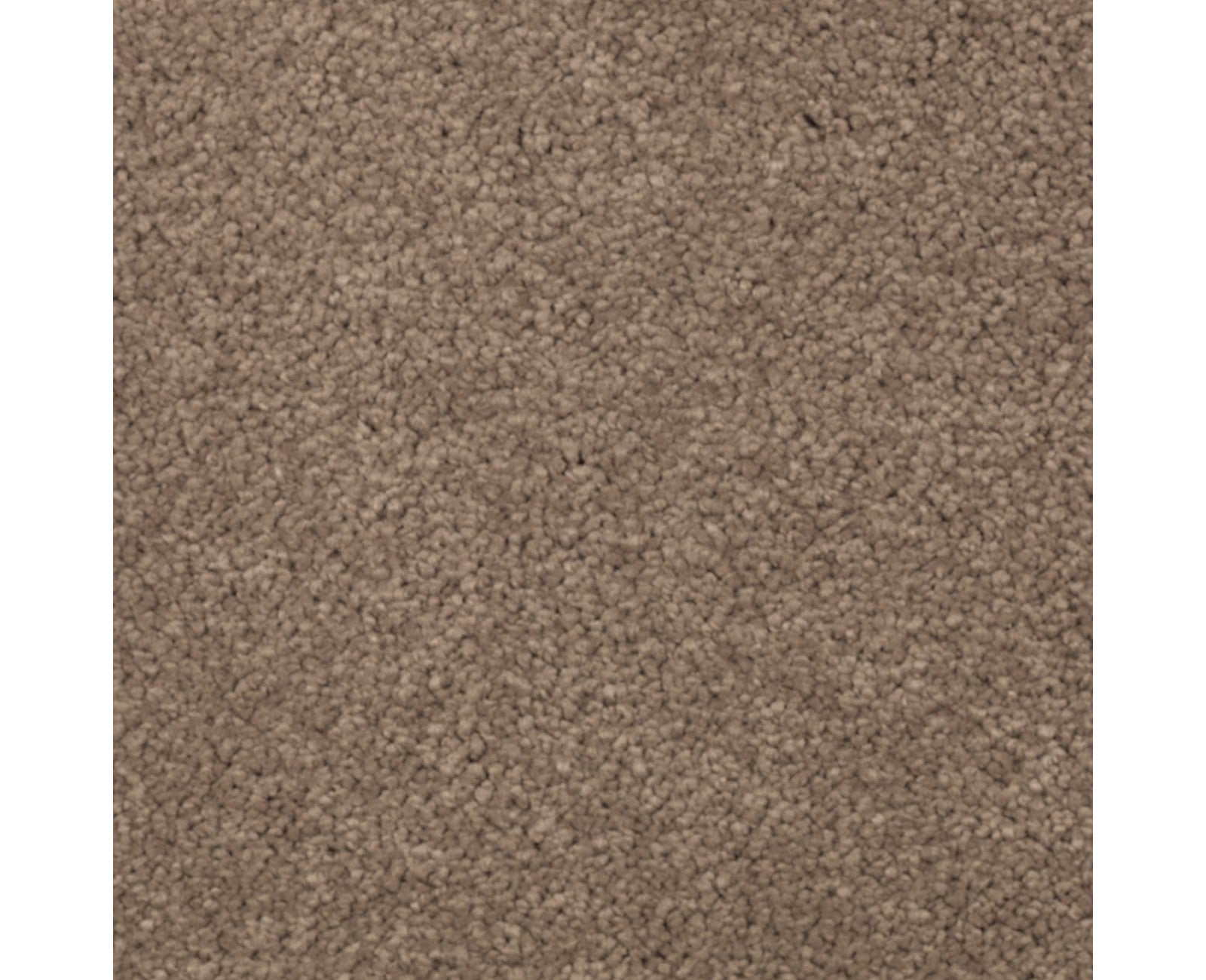 Mohawk Natural Splendor II in Cat-Tail, Carpet product detail