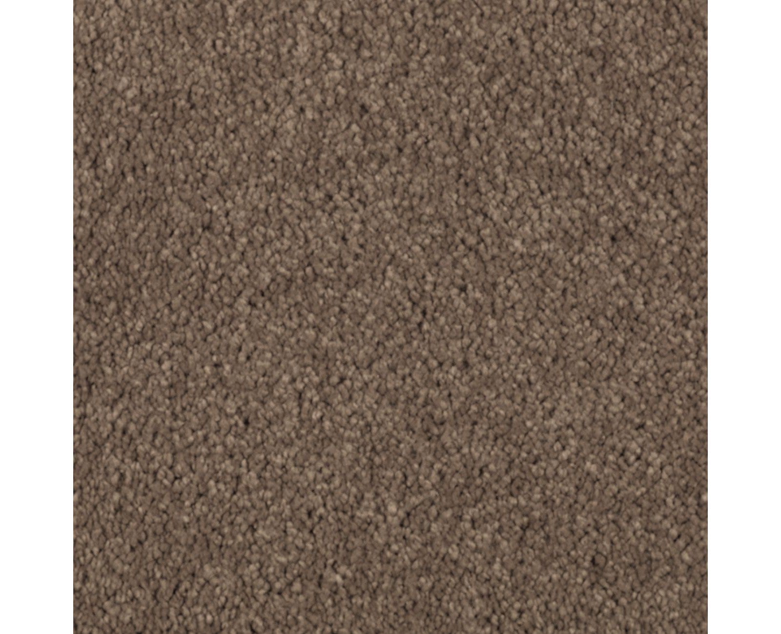 Mohawk Natural Splendor II in Nutmeg, Carpet product detail
