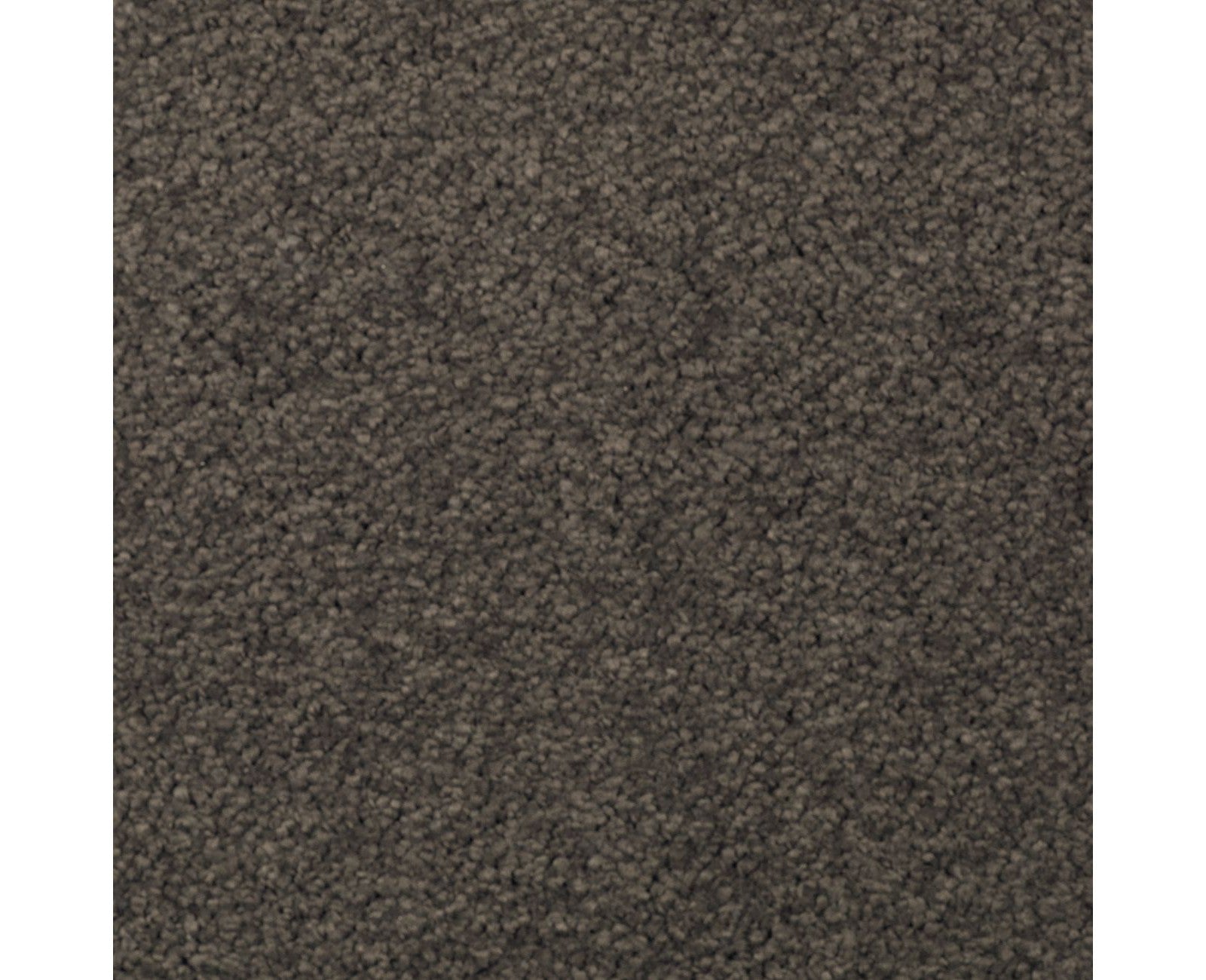 Mohawk Natural Splendor II in Wrought Iron, Carpet product detail