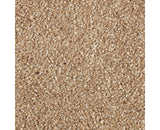 Mohawk Stonington Manor II Carpet