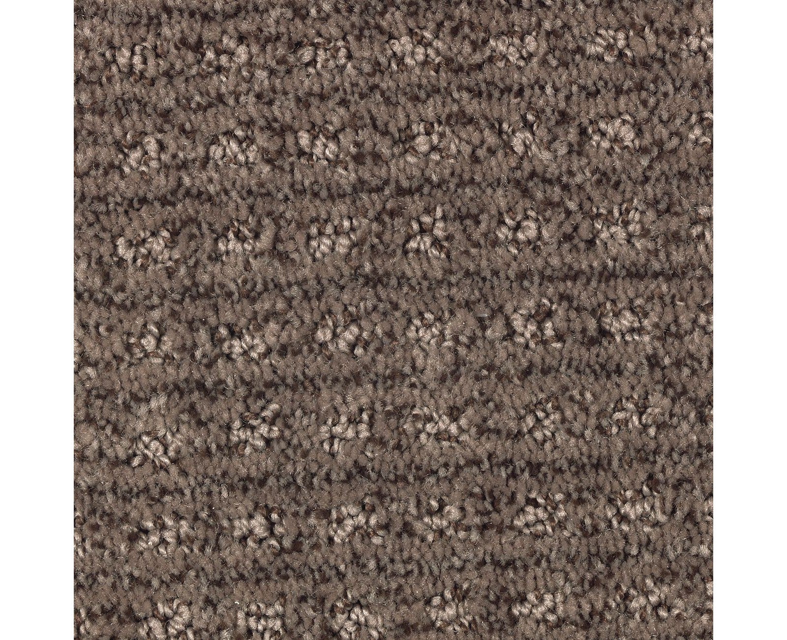 Mohawk Ultimate Image in Deep Sable, Carpet product detail
