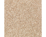 Mohawk Tonal Chic II Carpet