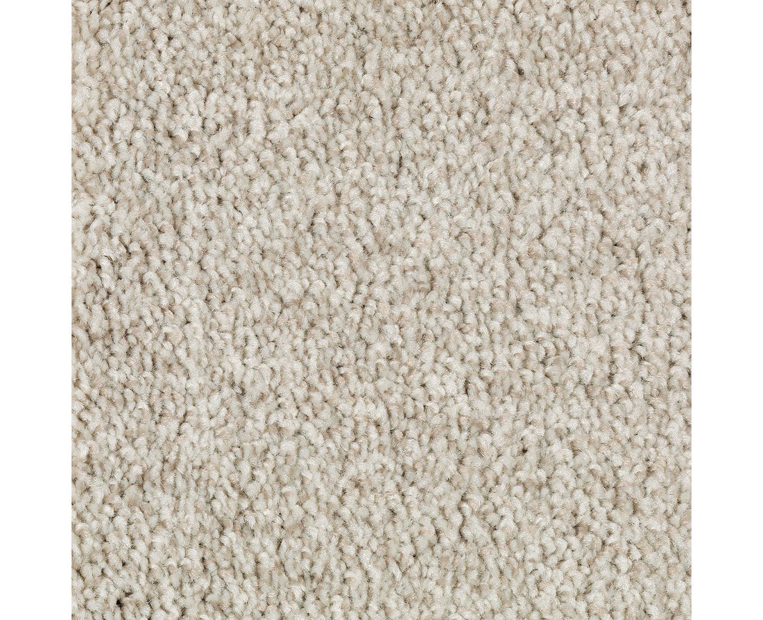 Mohawk Tonal Chic II Carpet