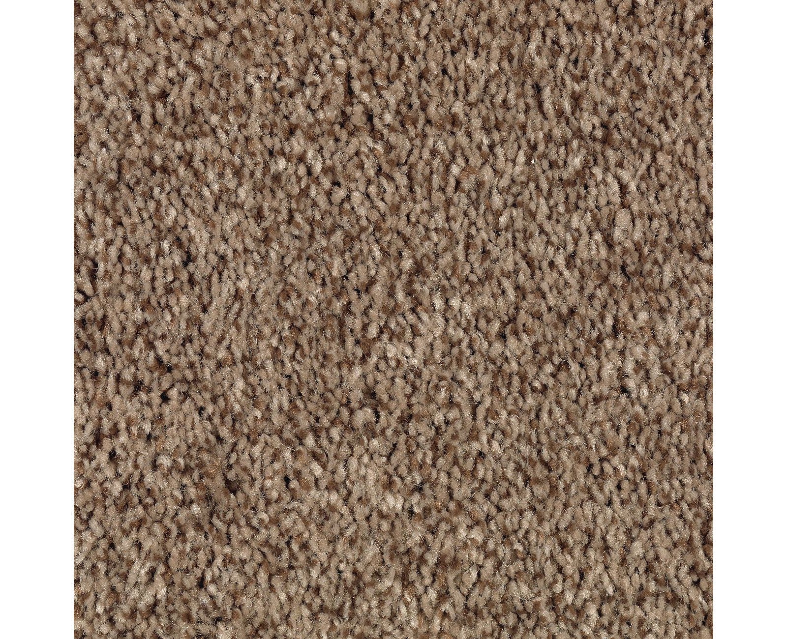 Mohawk Tonal Chic II in Highlander, Carpet product detail