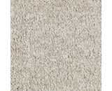 Mohawk Tonal Chic I Carpet