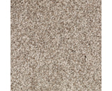 Mohawk Tonal Chic I Carpet