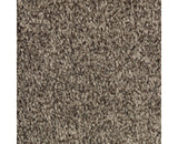 Mohawk Tonal Chic I Carpet