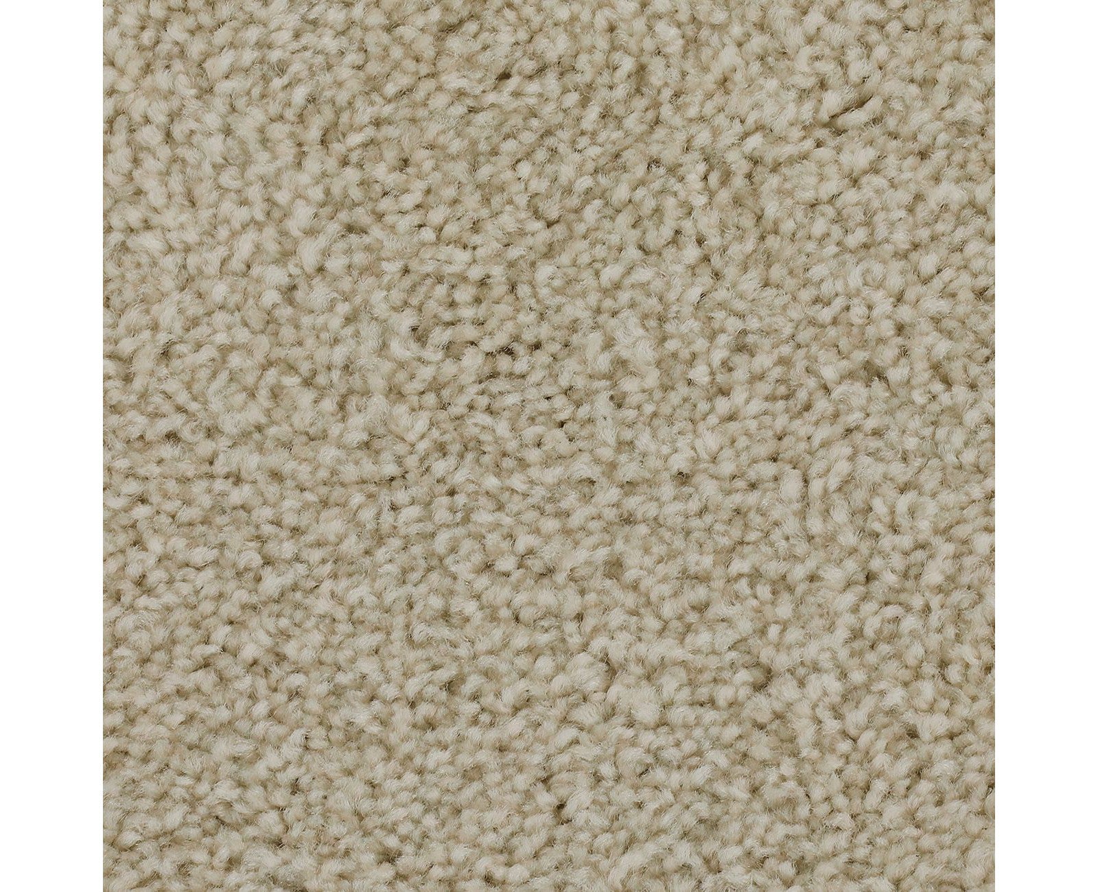 Mohawk Effortless Choice in Winter Wind, Carpet product detail
