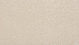 Mohawk True Harmony Carpet